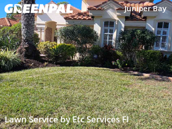 Yard Mowingin Palm Harbor,34685,Lawn Service by Etc Services Fl, work completed in Dec , 2025