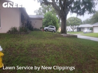 Yard Cutting nearby Clearwater, FL, 
