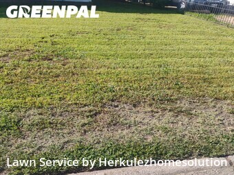 Lawn Cut nearby Imperial Beach, CA, 