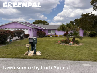 Lawn Care Service in Spring Hill, 34609, Yard Mowing by Curb Appeal , work completed in 28 Aug, 2025 