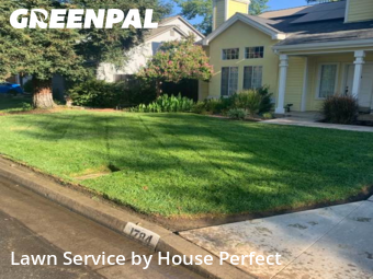 Lawn Mow nearby Fresno, CA, 