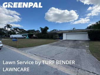 Lawn Mowin Dunedin,34698,Yard Mowing by TURF BENDER LAWNCARE, work completed in Nov , 2025