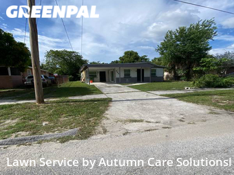 Lawn Mow nearby Tampa, FL, 