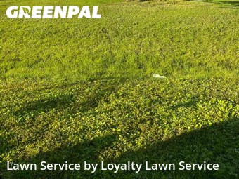 Lawn Maintenance nearby Vero Beach, FL, 