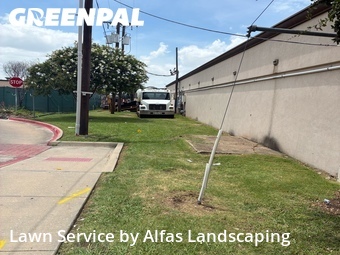 Grass Cut nearby Farmers Branch, TX, 