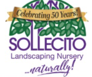 Best Nursery in Syracuse New York 2