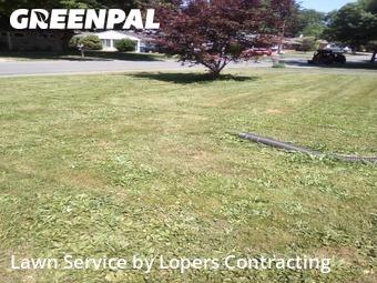 Lawn Care nearby Harrisburg, PA, 