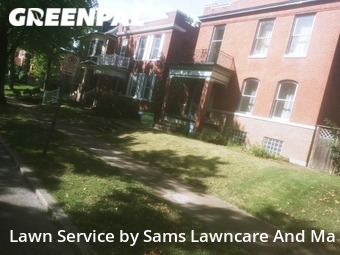 Grass Cut nearby St. Louis, IL, 