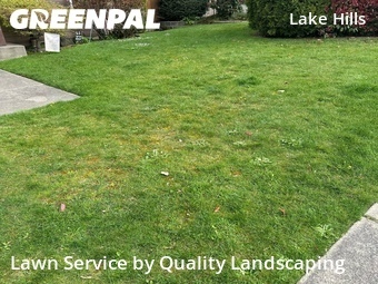 Lawn Cutin Bellevue,98007,Lawn Cut by Quality Landscaping, work completed in Jun , 2026