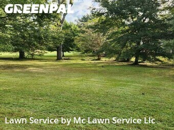 Grass Cut nearby Madison, MS, 
