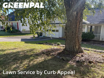 Work completed by local-lawn-cutting-services-in-Concord-CA