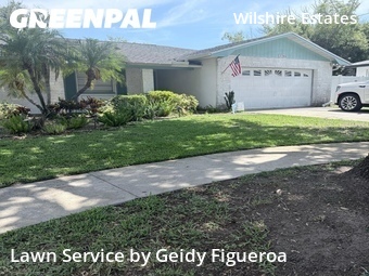 Lawn Servicein Dunedin,34698,Grass Cut by Geidy Figueroa, work completed in Jun , 2026
