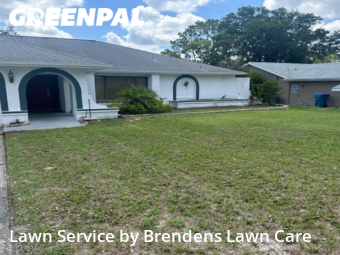 Grass Cut nearby Spring Hill, FL, 