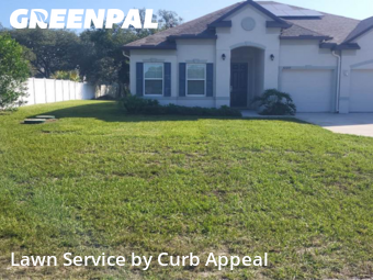 Grass Cut nearby Spring Hill, FL, 