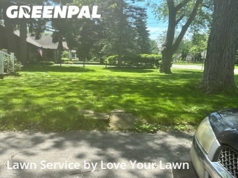 Backyard Landscaping In Buffalo,14221,Landscaping Cleanup by Love Your Lawn, work completed in Jun , 2026