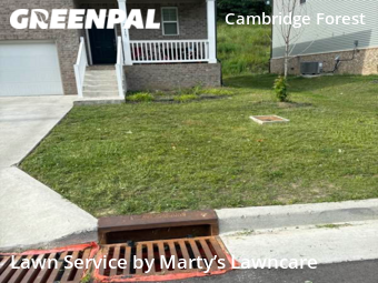 Yard Mowing nearby Nashville, TN, 