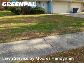 Yard Care in Dover, 19904, Lawn Cutting by Moores Handyman, work completed in Dec , 2025