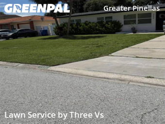 Grass Cut nearby St. Petersburg, FL, 