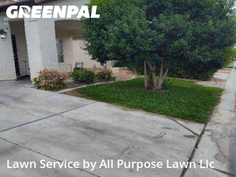 Backyard Mowing in Las Vegas, 89123, Yard Maintenance by All Purpose Lawn Llc, work completed in Oct , 2025