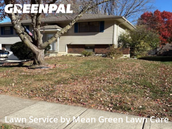 Lawn Maintenance nearby Lee's Summit, MO, 