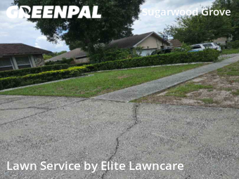 Yard Cutting nearby Tampa, FL, 