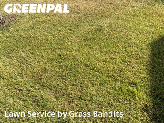 Lawn Mow nearby Billings, MT, 