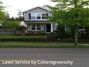 Grass Cutting nearby Du Pont, WA, 