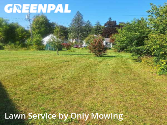 Lawn Mowing nearby Schenectady, NY, 