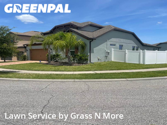 Grass Cut nearby Orlando, FL, 