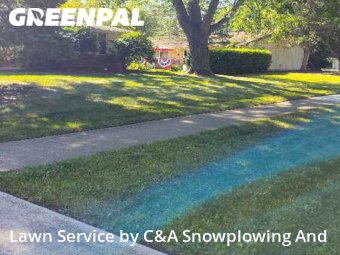 Lawn Mow nearby Schaumburg, IL, 