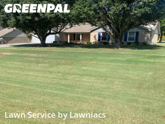Lawn Cut nearby Harvest, AL, 