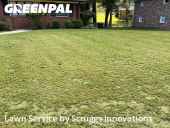 Lawn Care Service nearby College Park, GA, 