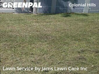 Lawn Care nearby Holiday, FL, 