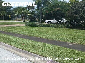 Lawn Mow nearby Palm Harbor, FL, 