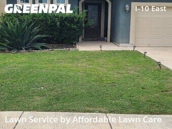 Grass Cut nearby Converse, TX, 