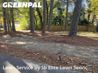 Lawn Care nearby Snellville, GA, 