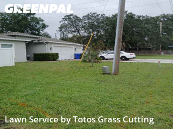 Lawn Mowingin Ocoee,34761,Yard Mowing by Totos Grass Cutting, work completed in Dec , 2025