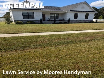 Lawn Cutting in Georgetown, 19947, Yard Mowing by Moores Handyman, work completed in Nov , 2025