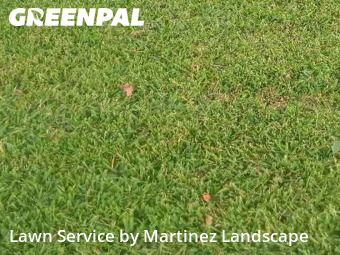 Yard Grooming in Lady Lake, 32159, Grass Cutting by Martinez Landscape, work completed in Dec , 2025