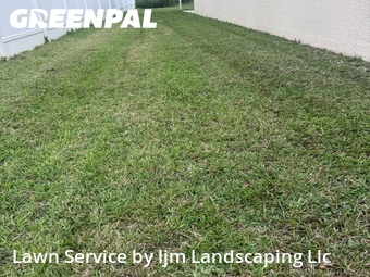 Grass Cut nearby Orlando, FL, 