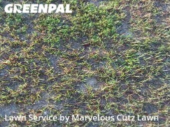 Lawn Cutting nearby Columbia, SC, 
