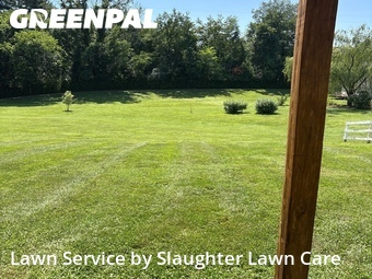 Lawn Cutting nearby Powell, TN, 