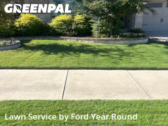 Lawn Cut nearby Fort Worth, TX, 