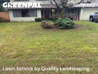 Lawn mowed in Shoreline, 98155