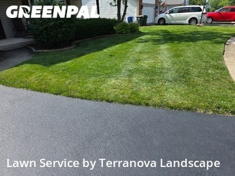 Turf Services in Woodridge, 60517, Landscaping Maintenance by Terranova Landscape, work completed in Aug , 2025