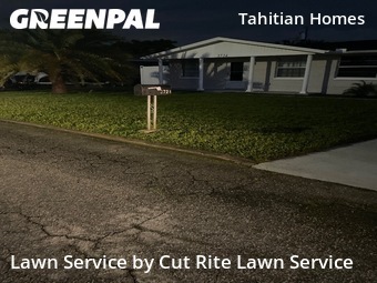Lawn Maintenance nearby Holiday, FL, 