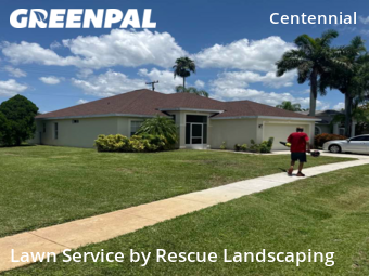 Grass Cutting nearby Lehigh Acres, FL, 