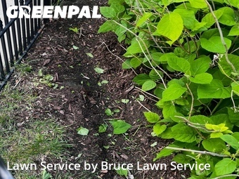Lawn Maintenance nearby Oak Park, IL, 