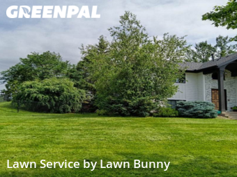 Grass Cut nearby Apple Valley, MN, 