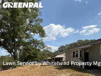 Grass Cut nearby Columbus, GA, 